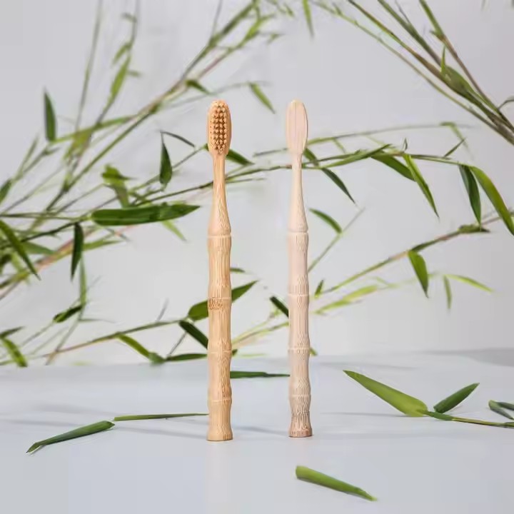 Por que escolher uma escova de dentes de bambu?