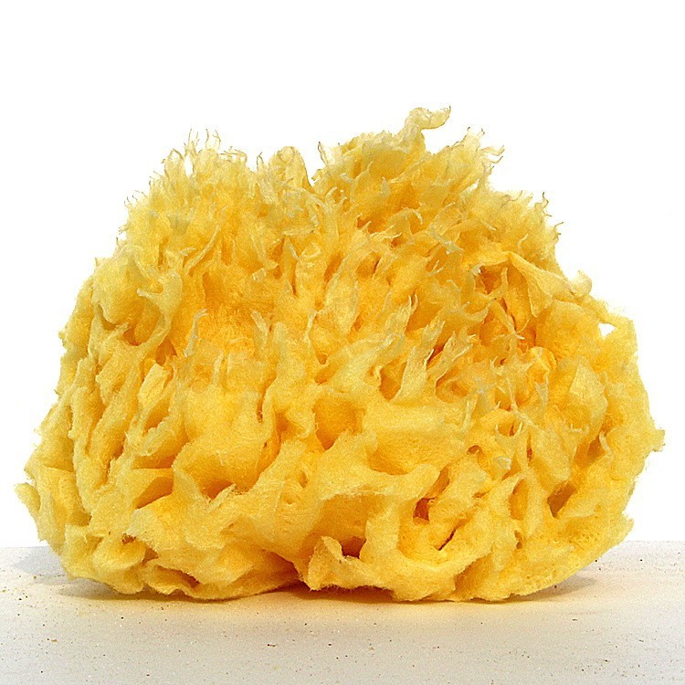 Esponja natural da Grécia